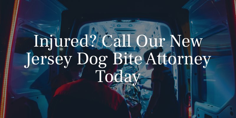 New Jersey Dog Bite Attorney